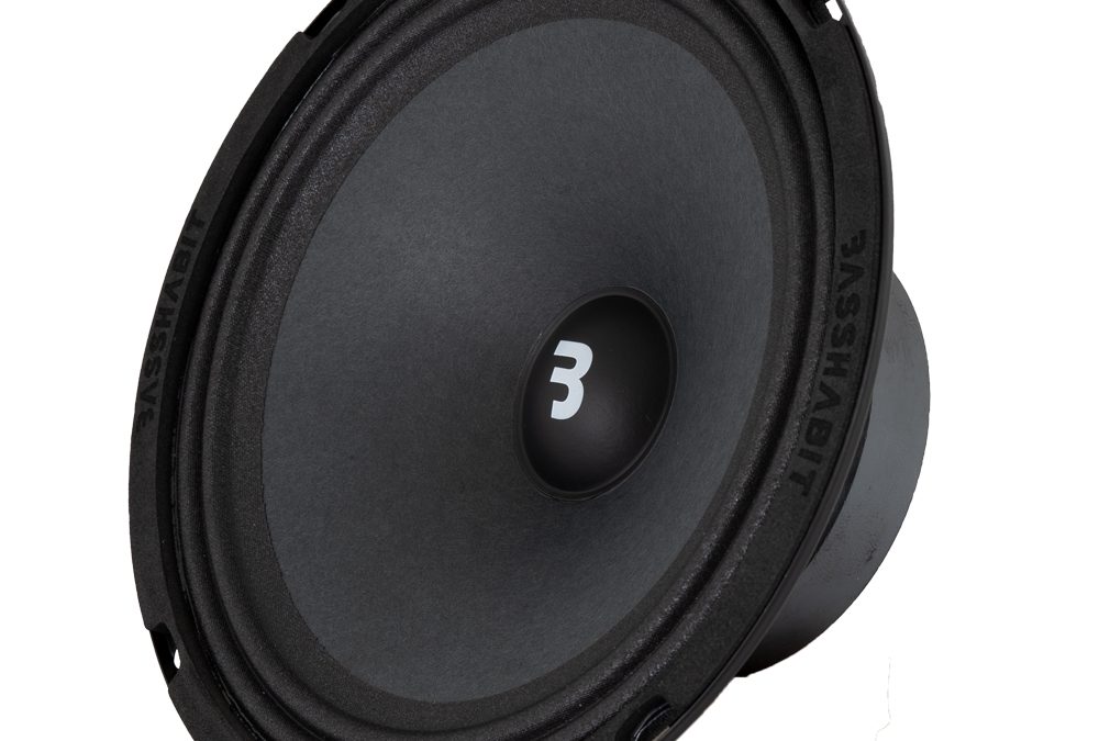 Bass Habit Play Sp200M 8″